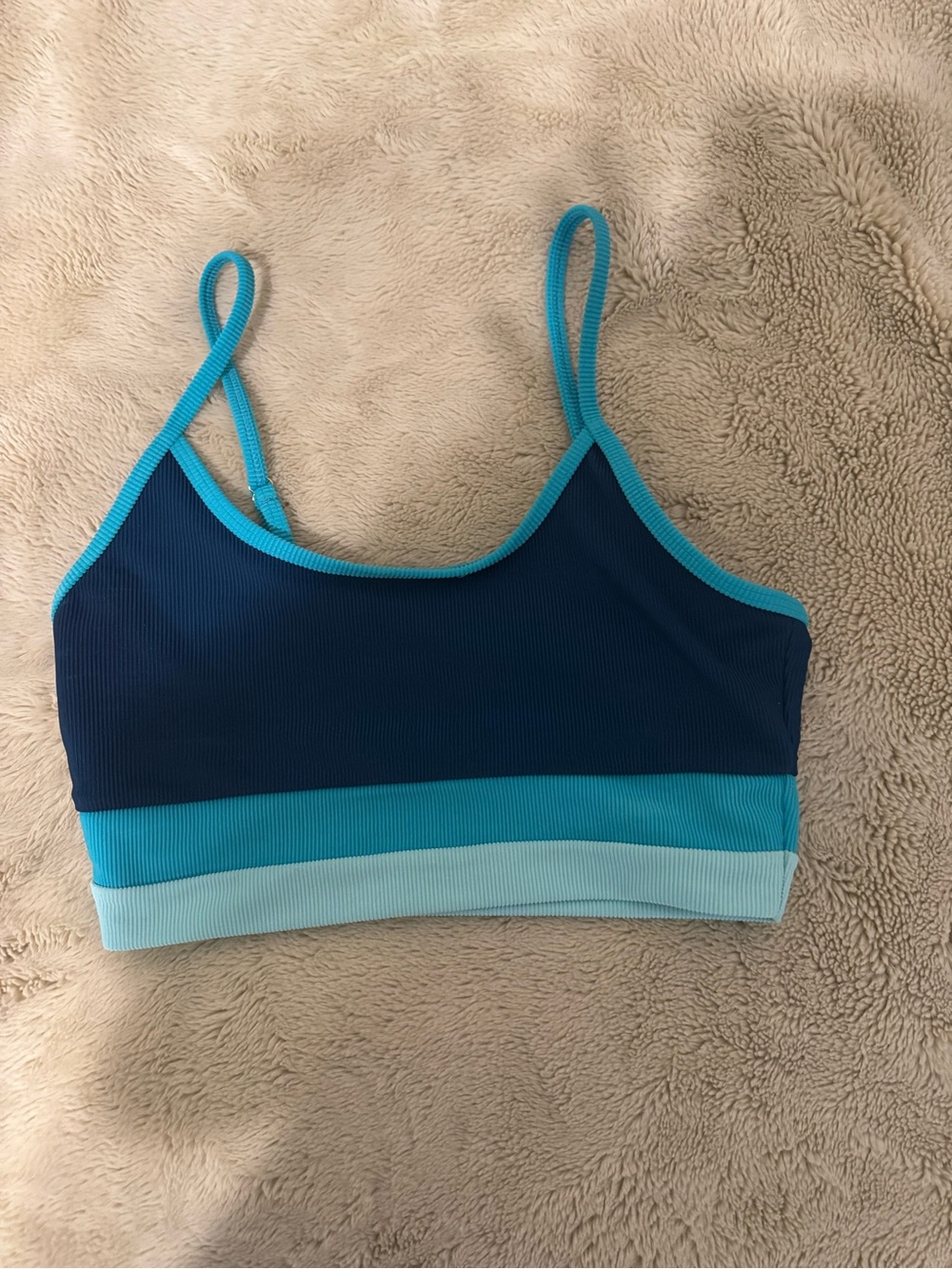 Beach Riot  Size Large Eva
Colorblock Bikini Top NWOT